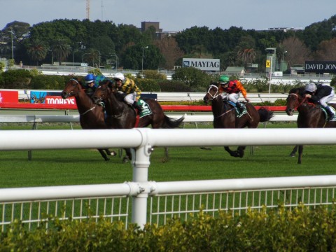 Horse racing
